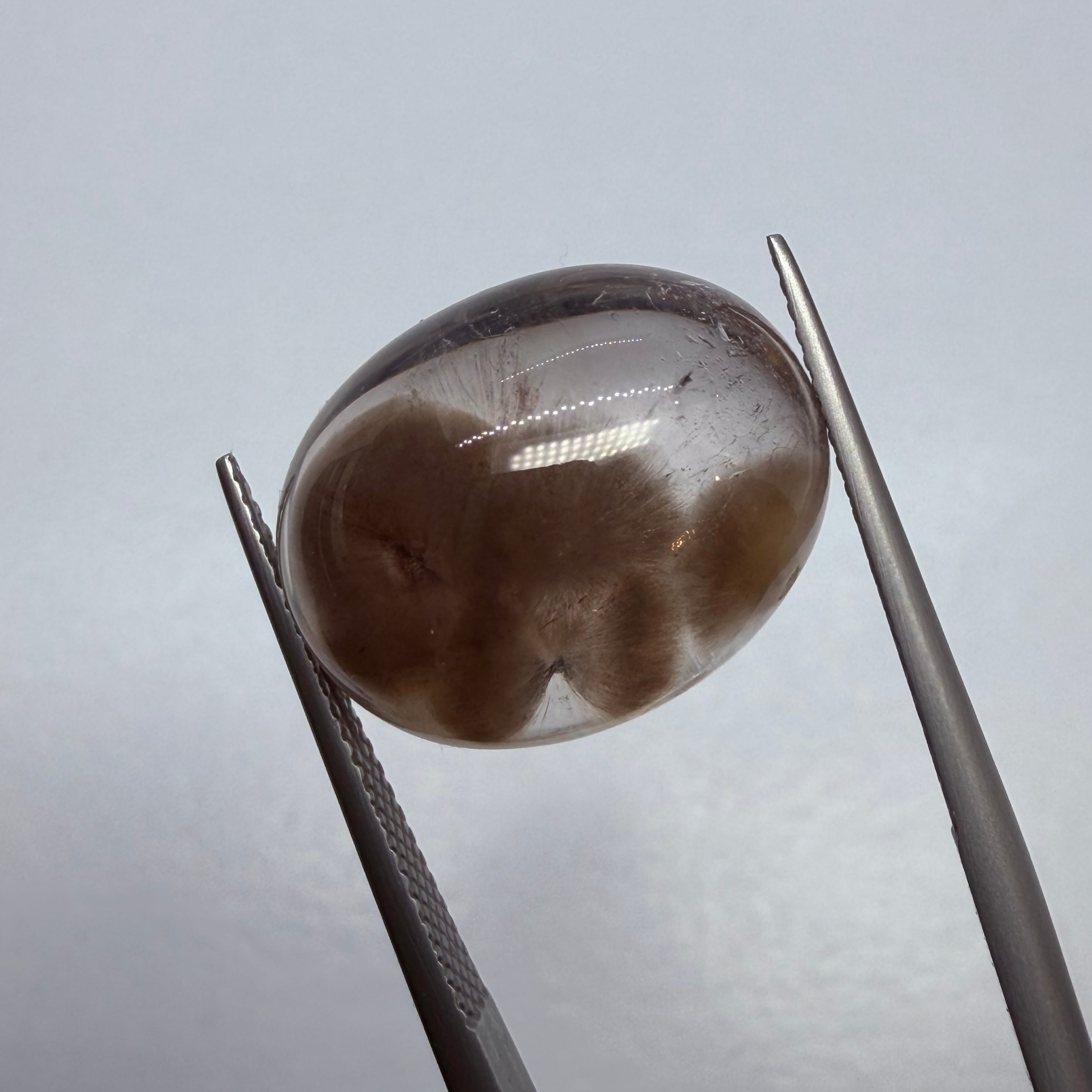 モフモフなポンポンクオーツ