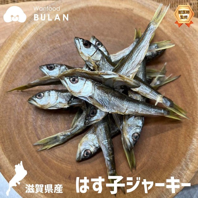 ＼＼new／／はす子ジャーキー【おさかなシリーズ】（ 滋賀県産 手作り 犬のおやつ 猫のおやつ ハス 幼魚 稚魚 丸干し 無添加 ）【Wanfood BULAN】