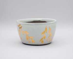 KINSAI POT / 金彩絵付鉢 (一点物)