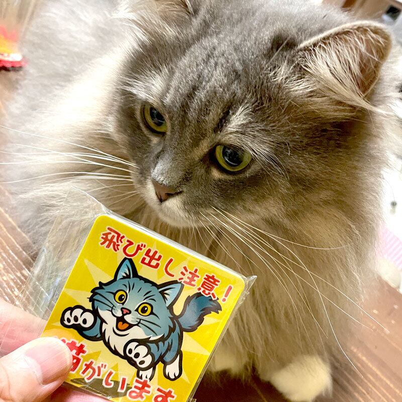 2025年版】猫・飛び出し注意ステッカー | 猫山座