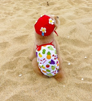 【FREDDITALE】Fresh & fruity monokini