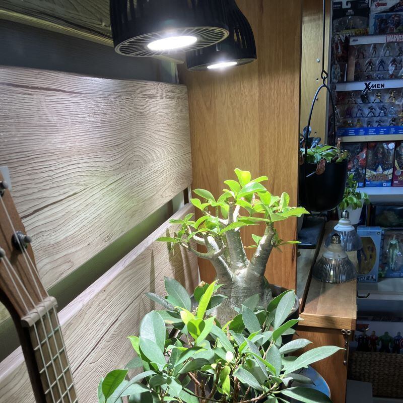 CHISPA 光と風で植物を育てるLEDライト ブラック ファン付き | CHISPA