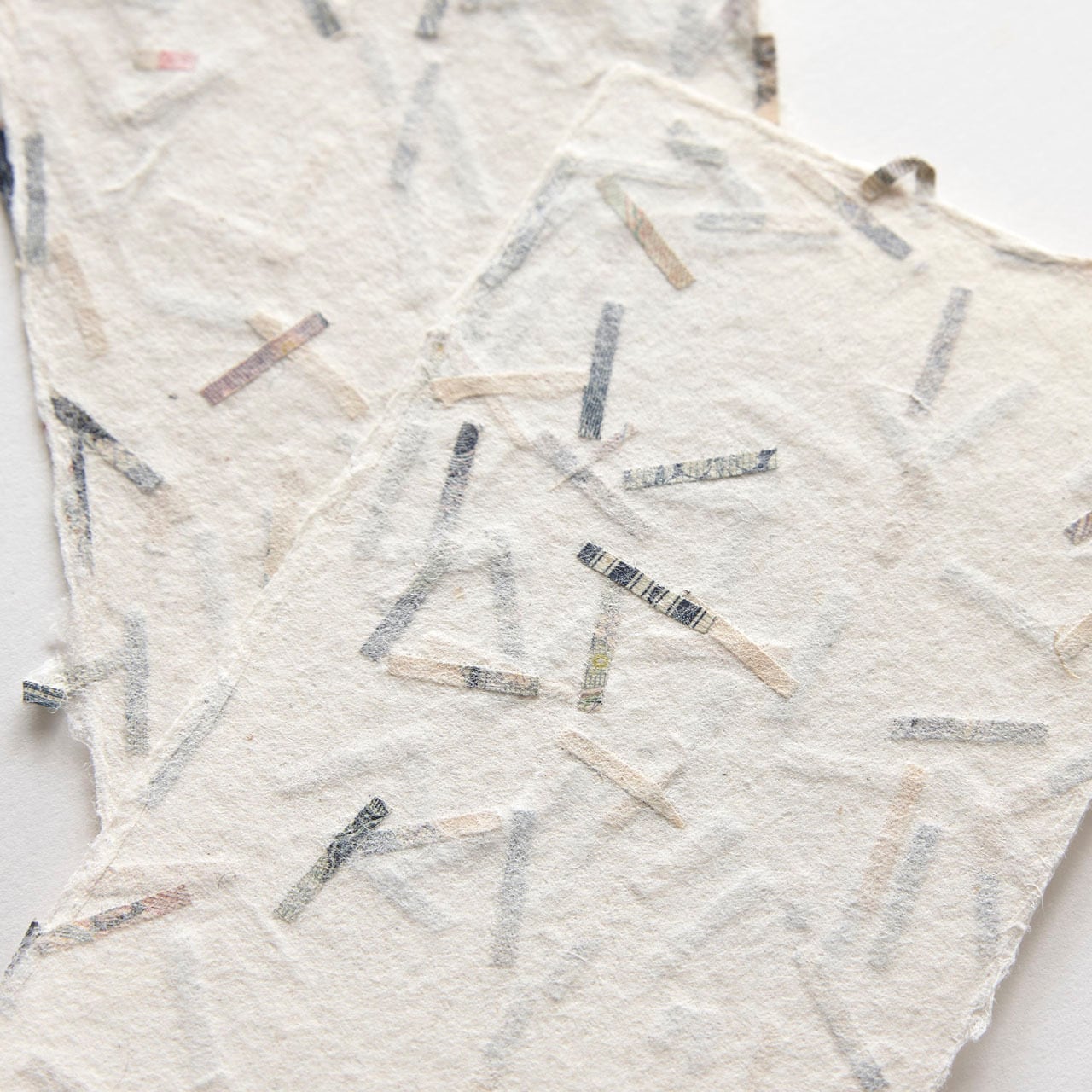 BU36 紙幣チップ入り名刺 5枚入 | WACCA ONLINE SHOP