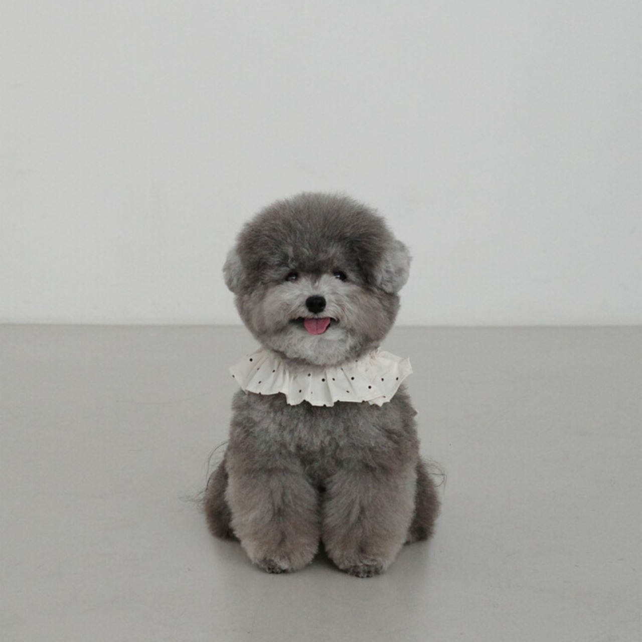 【一部予約】[ OHDIBS ] CAPENESS｜NO.20 _MINI DOT - 5
