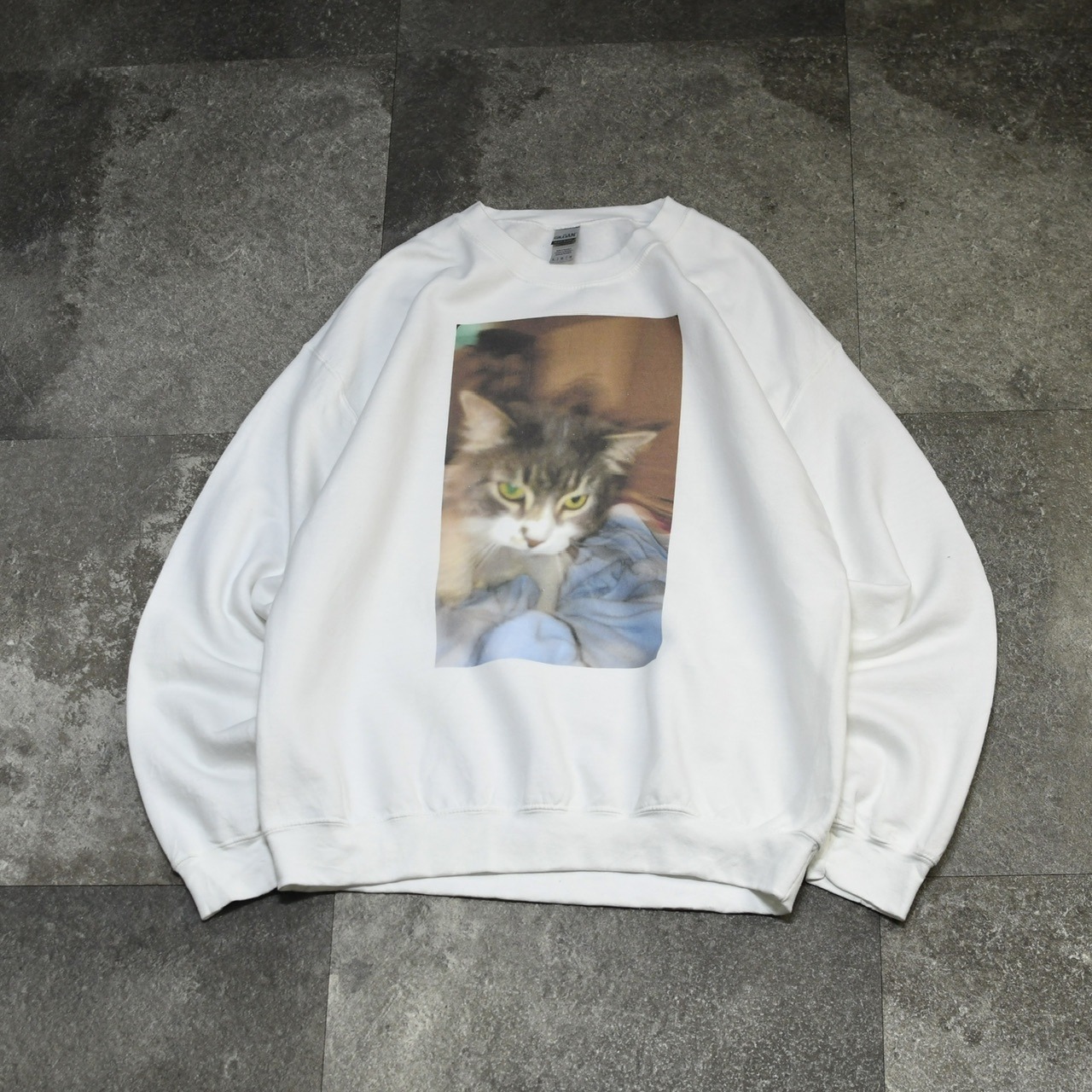 cat photo print sweat
