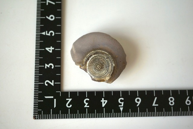 ゴビアゲート Gobi Agate 1450