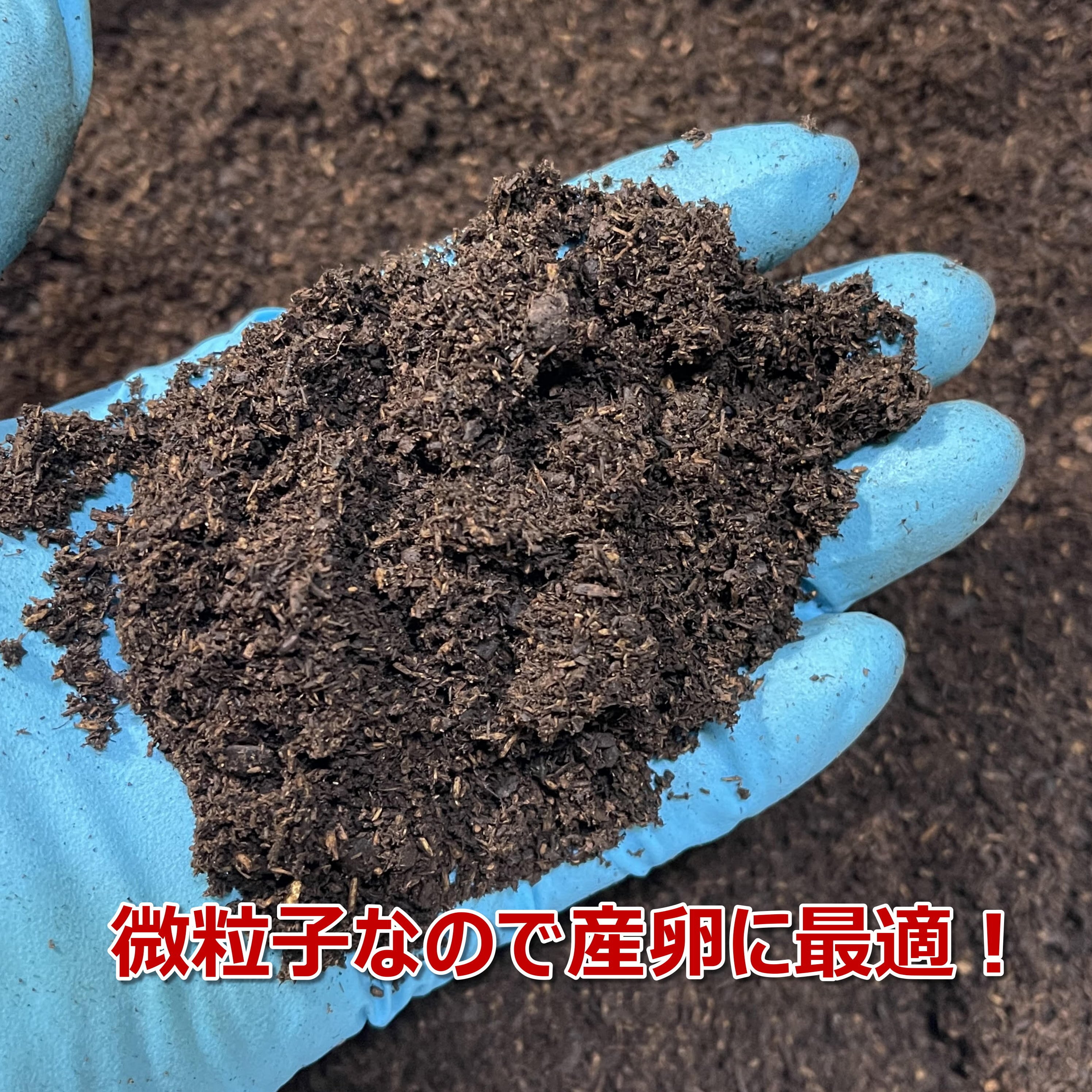 カブトマット 2L 完熟発酵 菌床マット プレミアム 国産・外国産