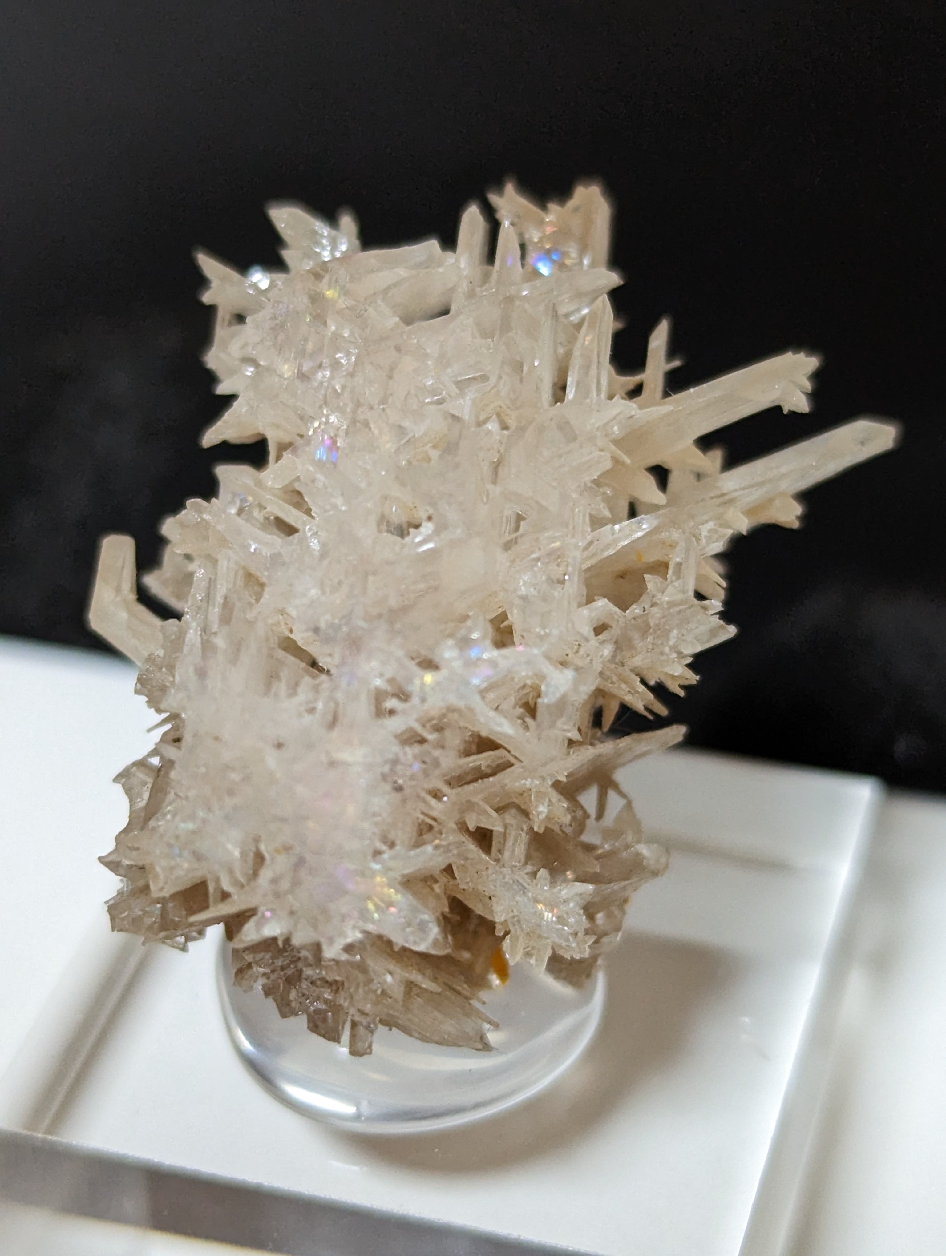 セルサイト　原石　白鉛鉱　鉱物標本 スノーフレークセルサイト 白鉛鉱 原石 鉱物 標本 セルサイト(白鉛鉱)