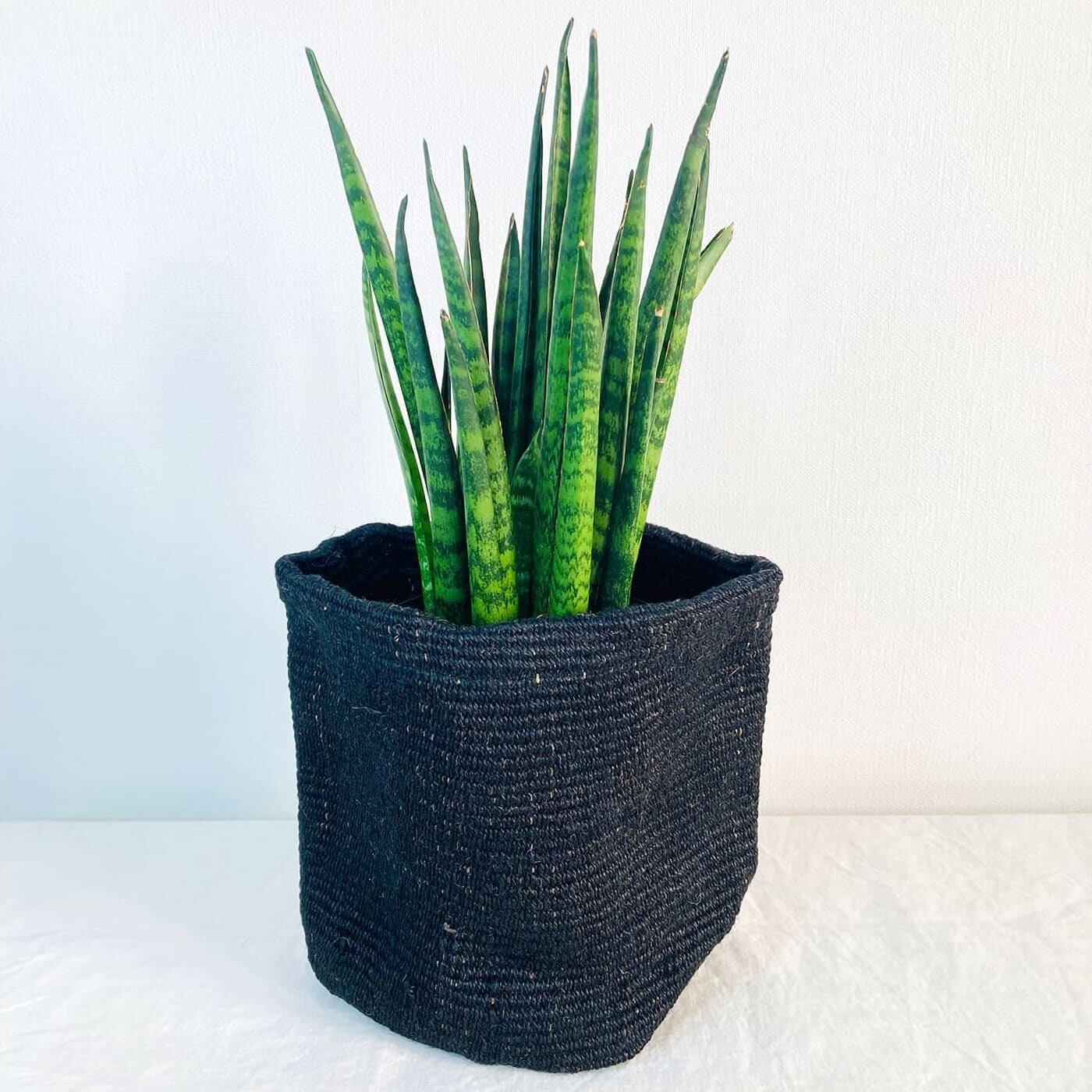 ジュート鉢カバー ブラック