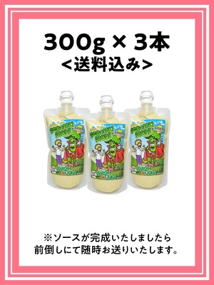 300g×3本 割引の送料込み!