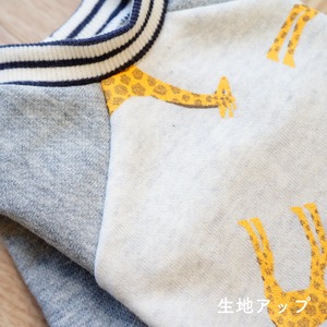 KIRINトレーナー