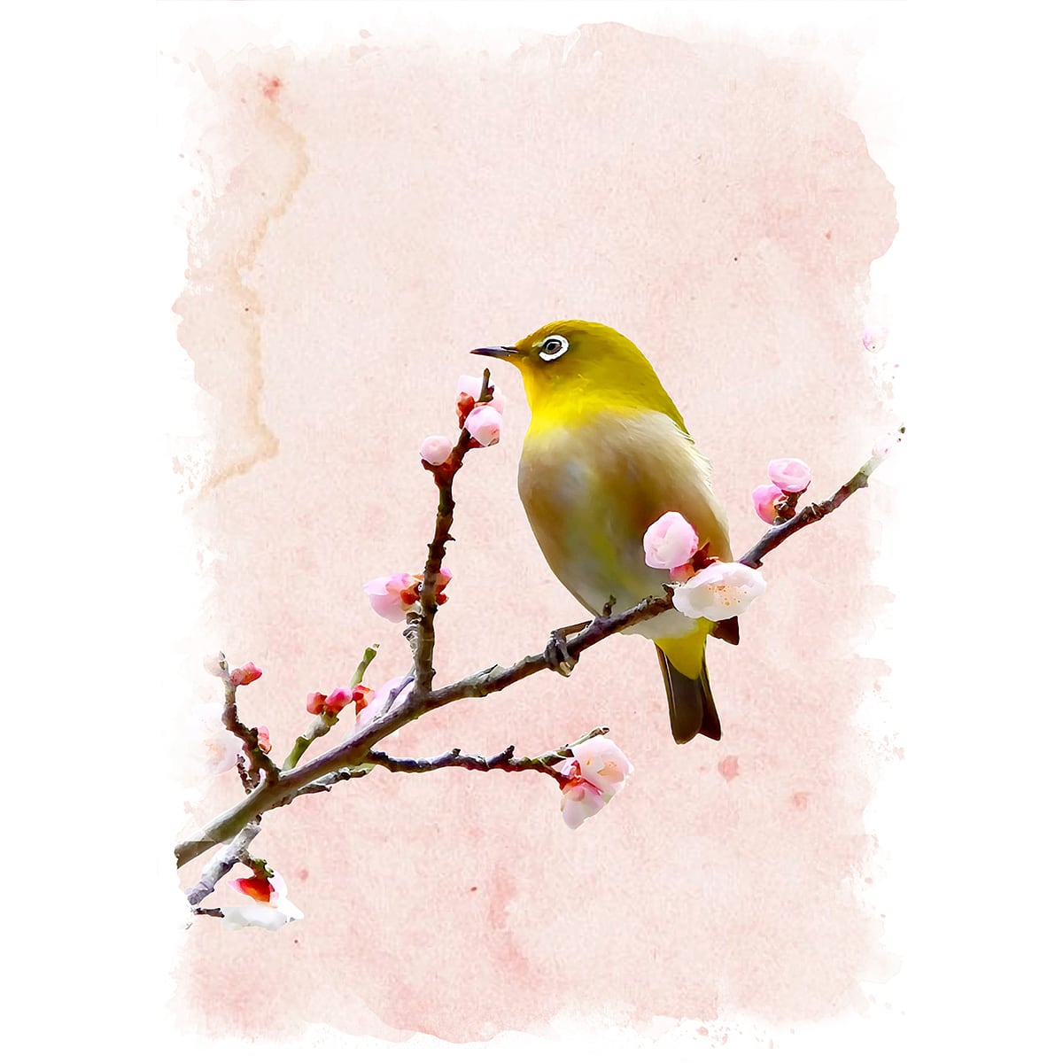 e8eb56eded4e4d58527f8818ee8c0f