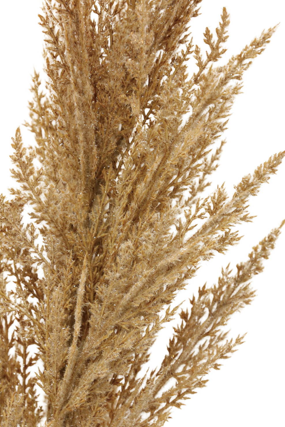 パンパスグラスＭ　　FG-5123BR　4961823755118　造花（アーティフィシャルフラワー） > 定番造花グリーン（素材）