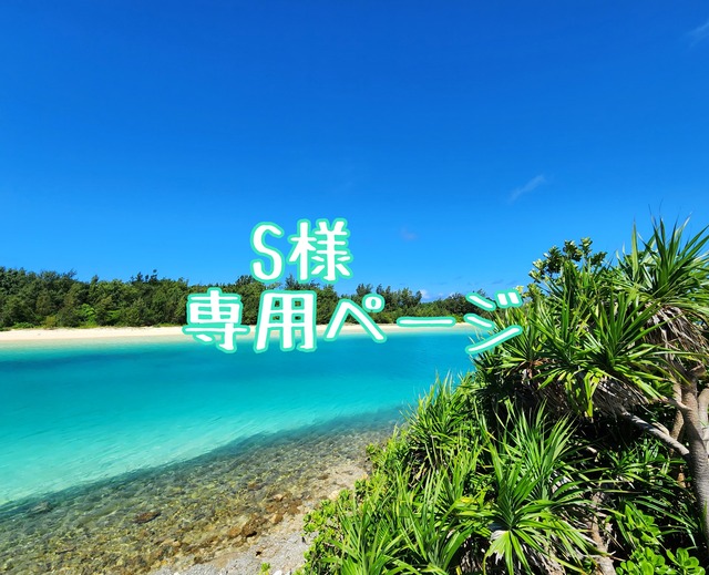 S様専用ページ