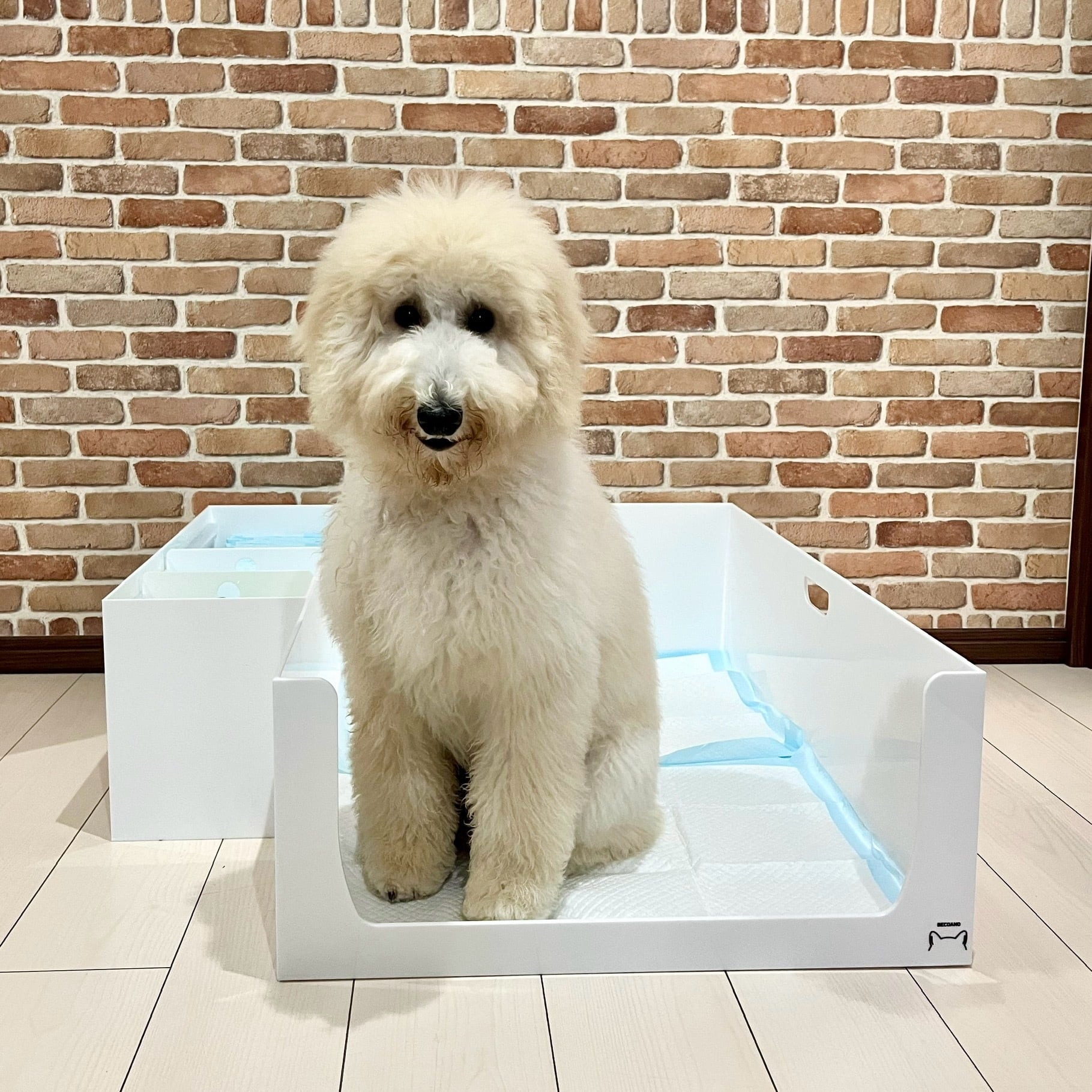 中型犬用 縦型 ホワイト no.5 | BECOANO