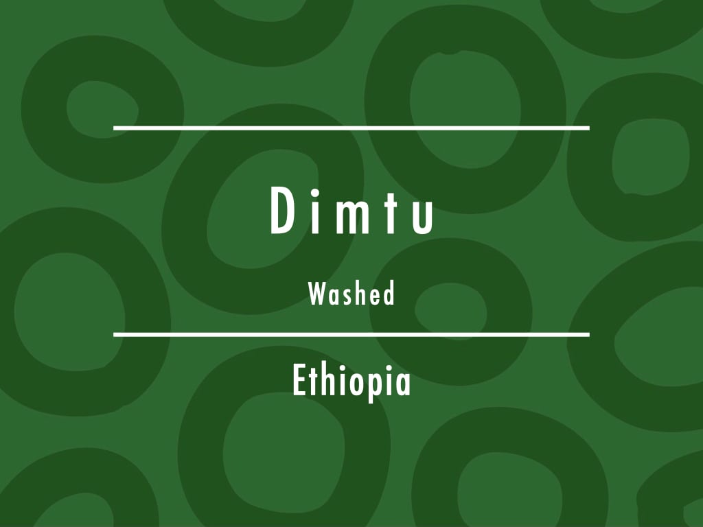 Coming Soon!!【200g】エチオピア / Dimtu Washed