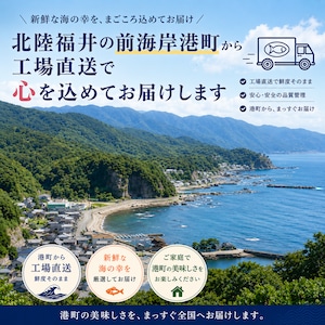 日本海産いかの味くらべ4種セット｜丸干いか・いか開き干し・干ほたるいか・白身いか
