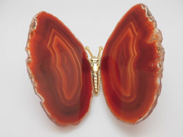 【瑪瑙】　ゴージャス蝶々　no.5