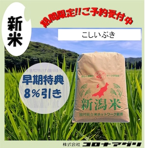 【玄米30kg】R8新潟県産こしいぶき