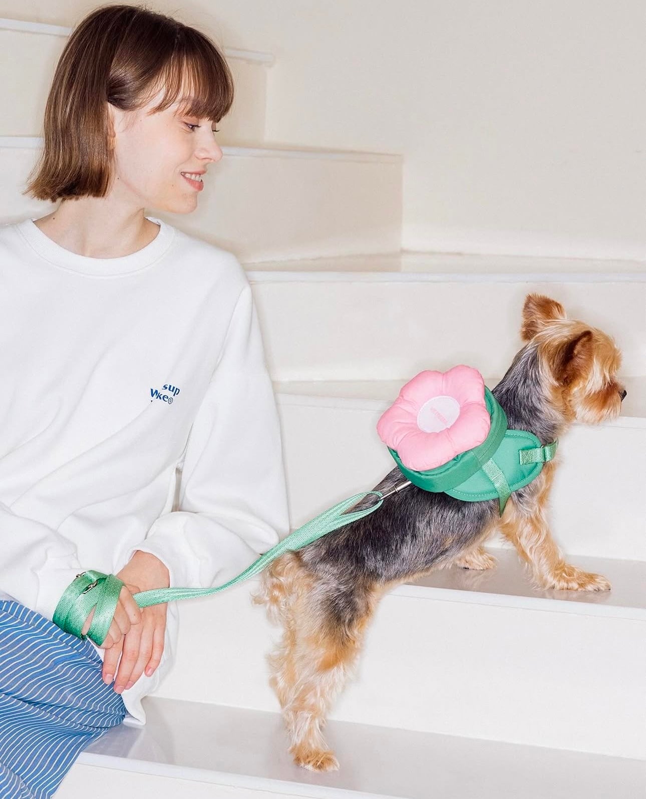 【VETRESKA】フローラリュックハーネスリードセット