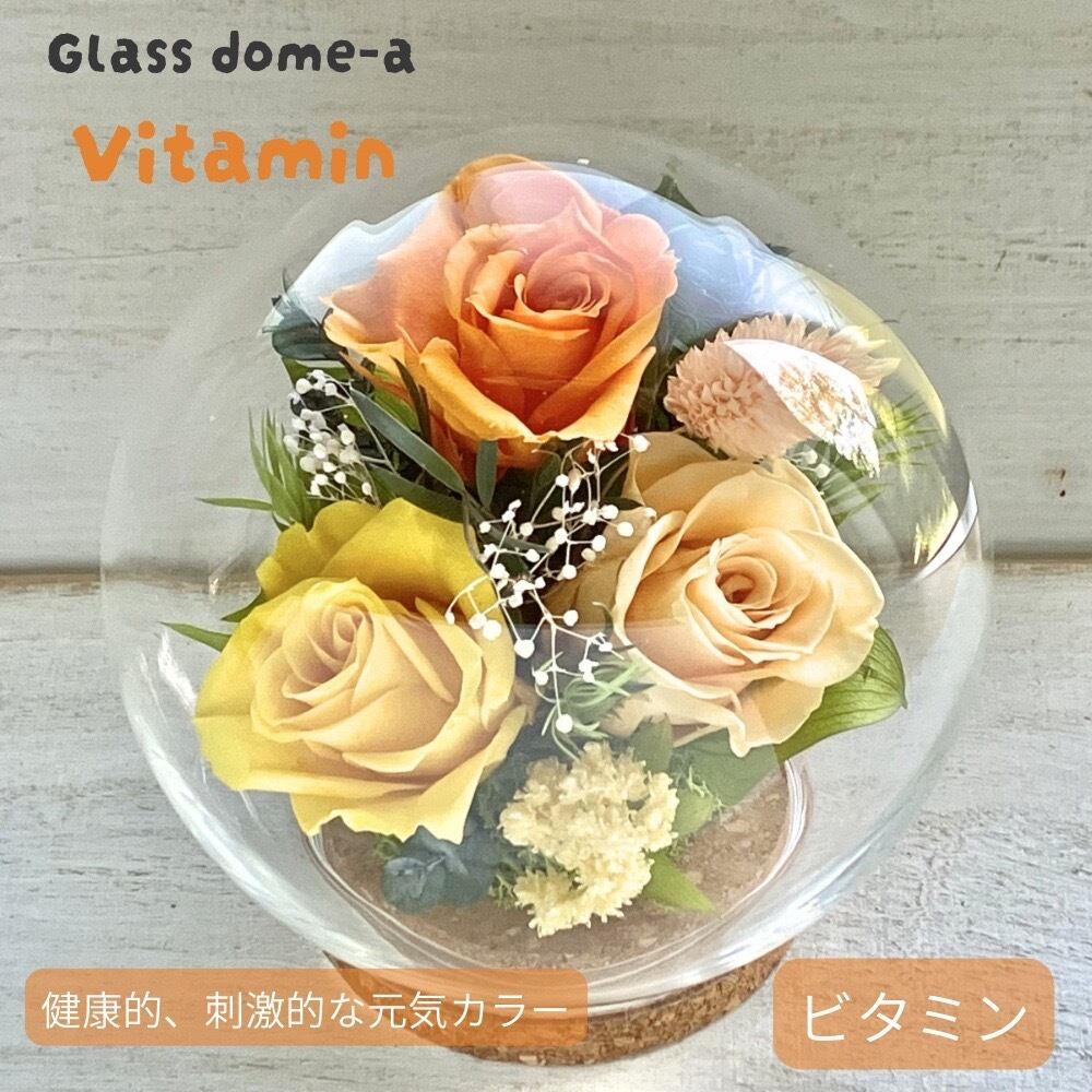 母の日 花 ギフト 2026 プリザーブドフラワー ガラスドームアレンジ