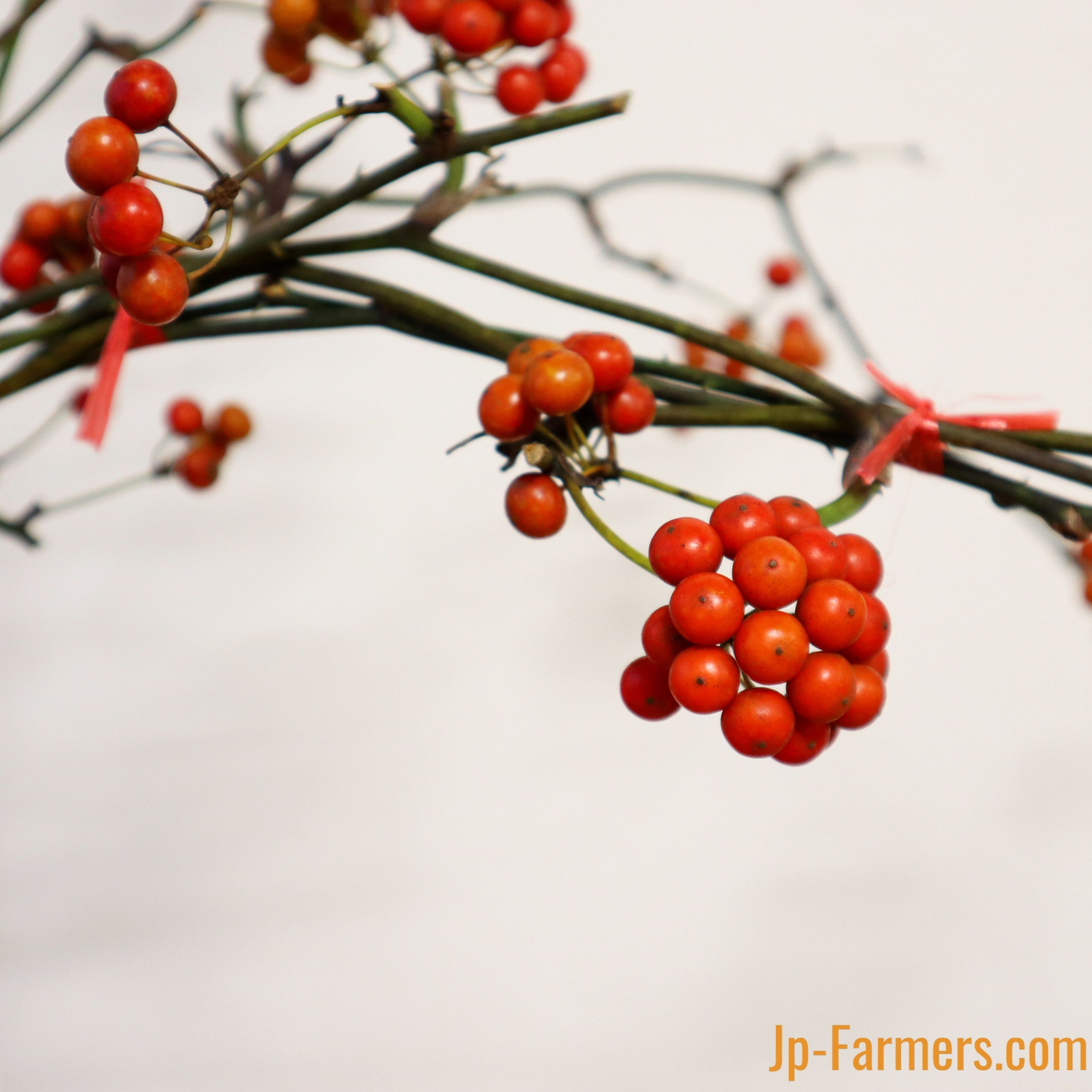 e8fbcd45de5d6e066f5cff0d7dbfa7