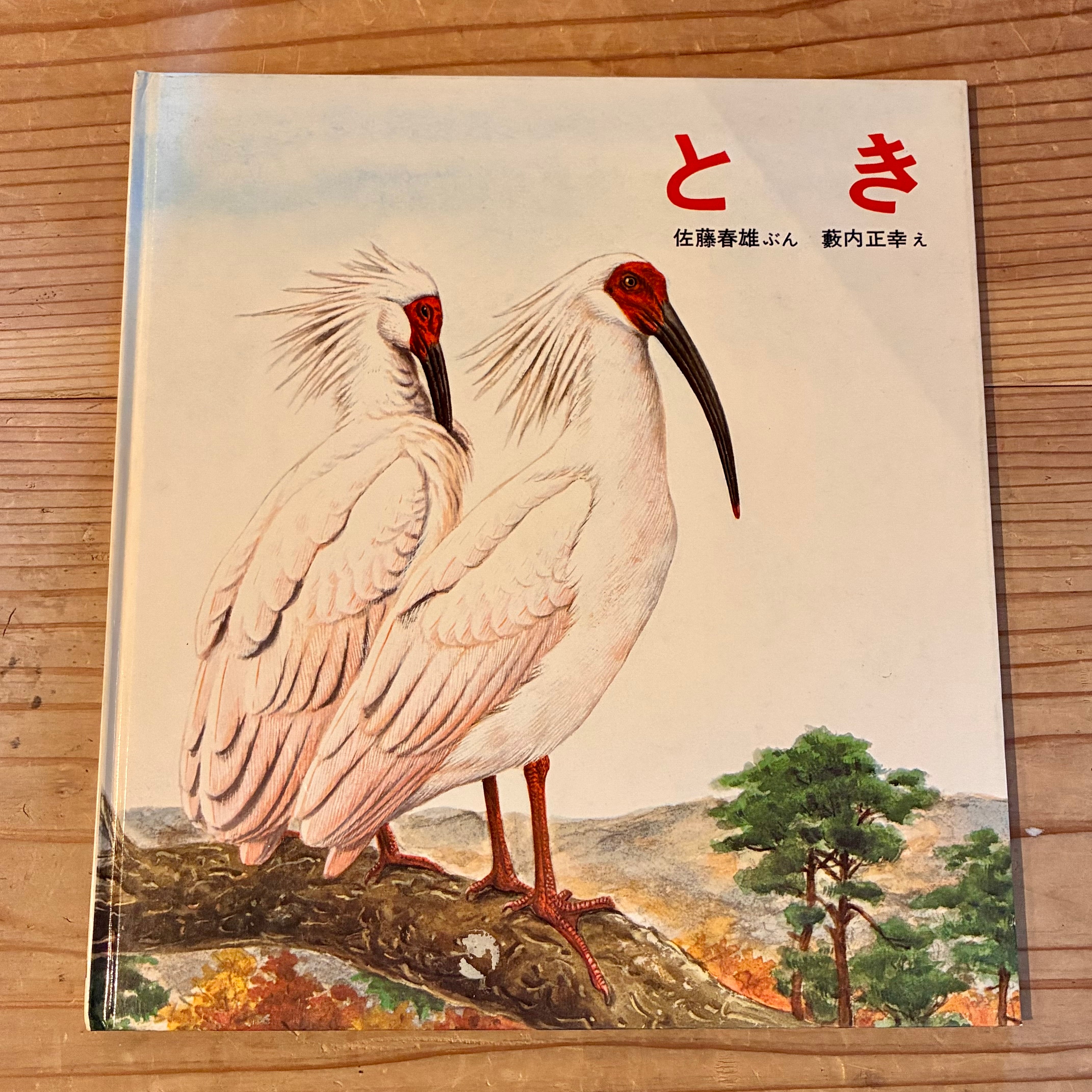 古本】どろで あそぼう | ホホホ座 西田辺 絵本・新刊本・古本