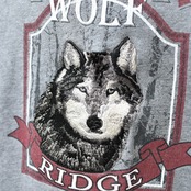 wolf embroidery sweat gray