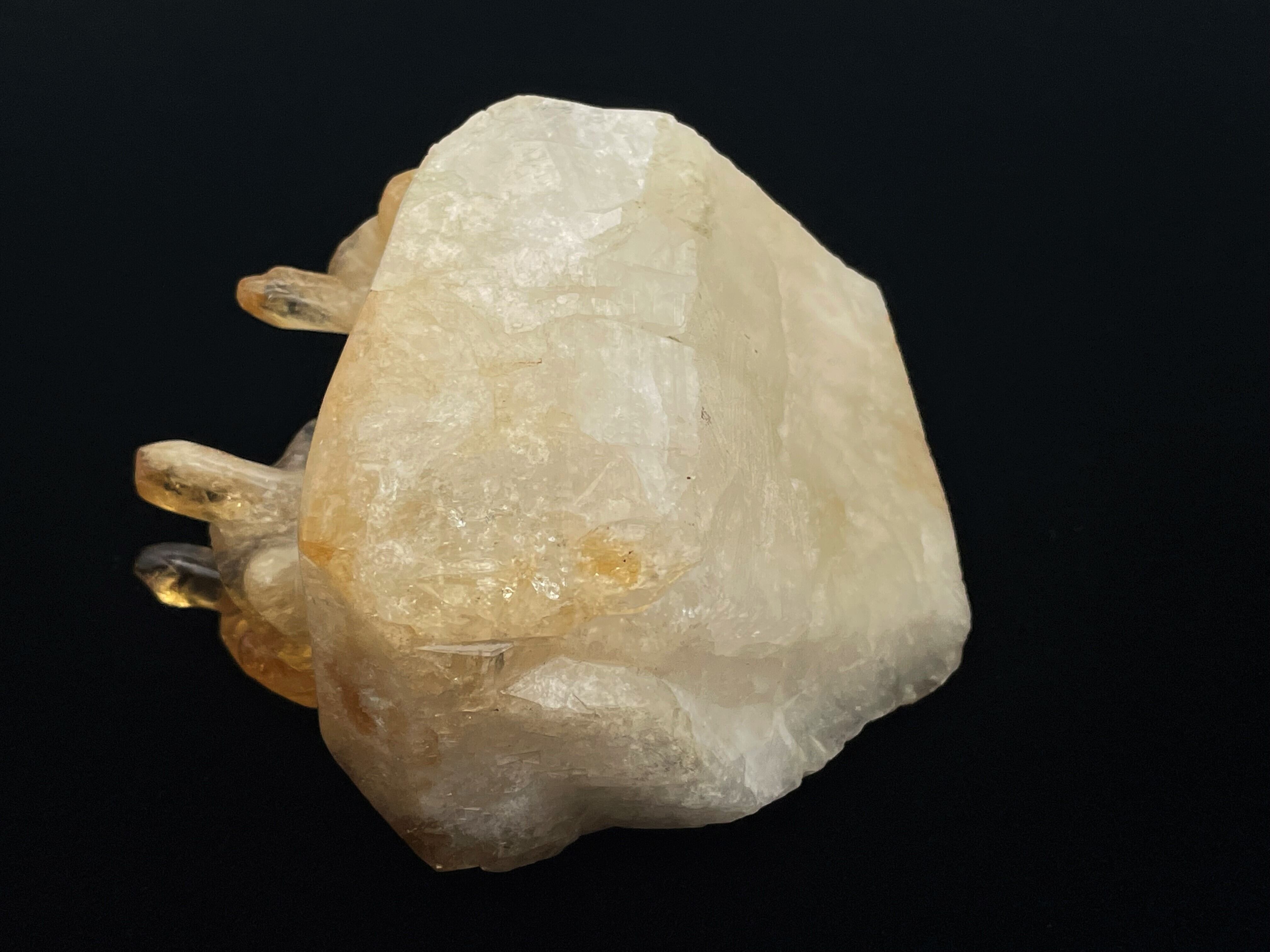 亀型（シトリン） 亀型（シトリン） | DantaliaN