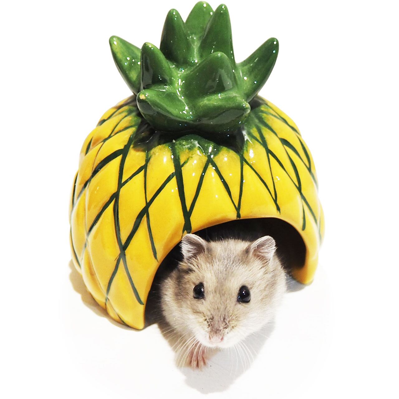 【小動物】 ジャンガリアンのカラフルドーム りんご/パイナップル