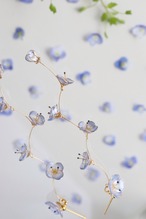 【K14gf】Veronica persica