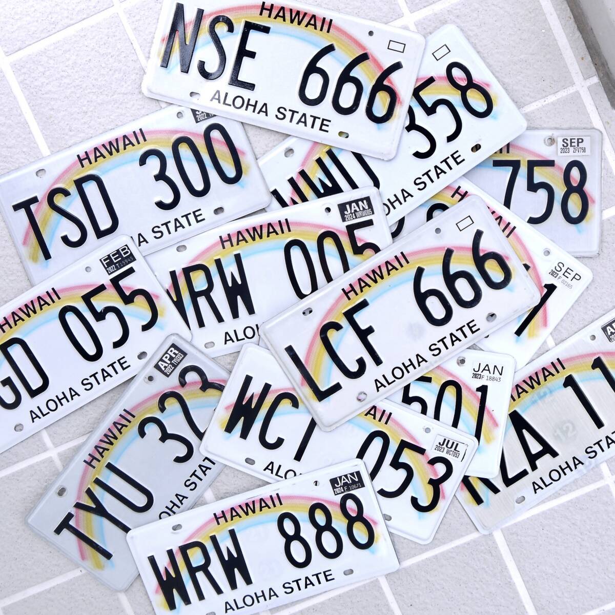 ☆ハワイ直輸入☆本物 ハワイ ナンバープレート／レインボー