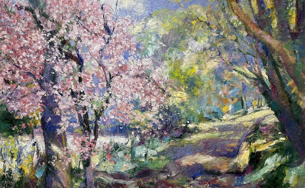 桜の木と水車小屋へと続く道 | Cherry Blossom, The Path to the Mill