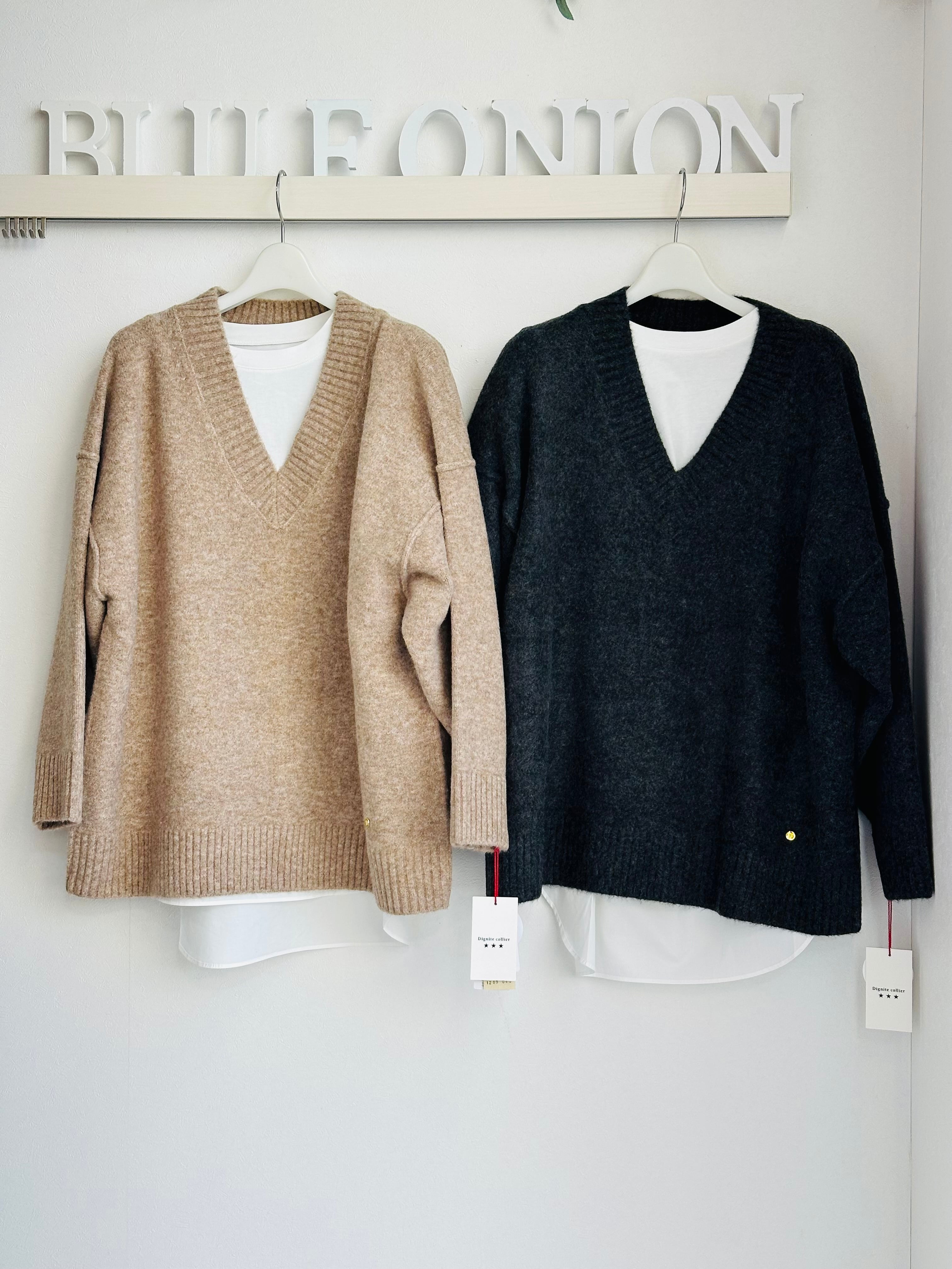 アンサンブル | BlueOnion