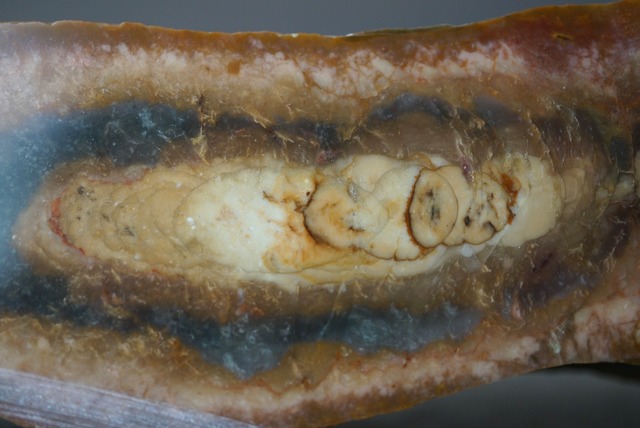 モリソナイト・ジャスパー Morrisonite Jasper 1419