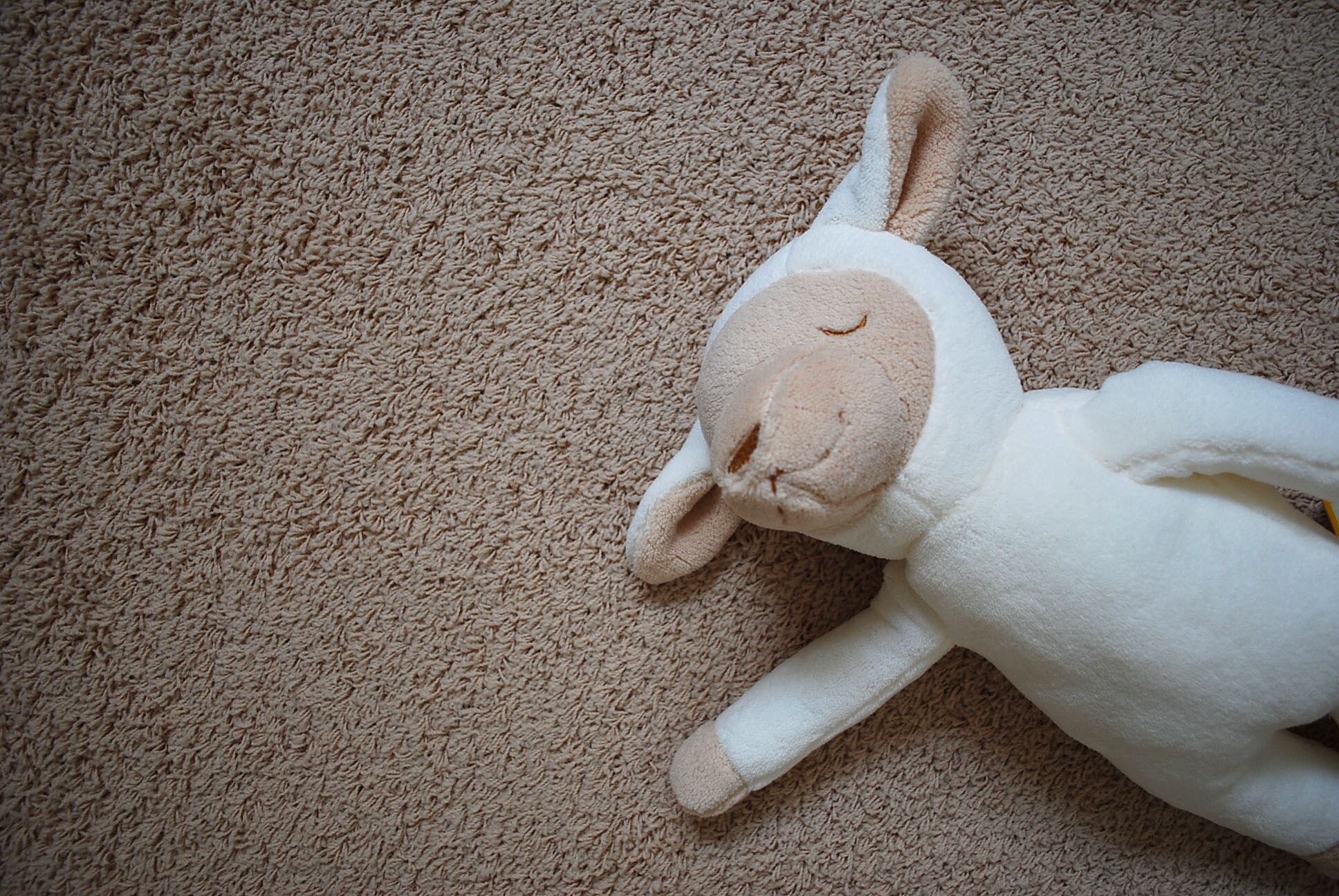 メルくん様☆専用☆ - 通販 - guianegro.com.br