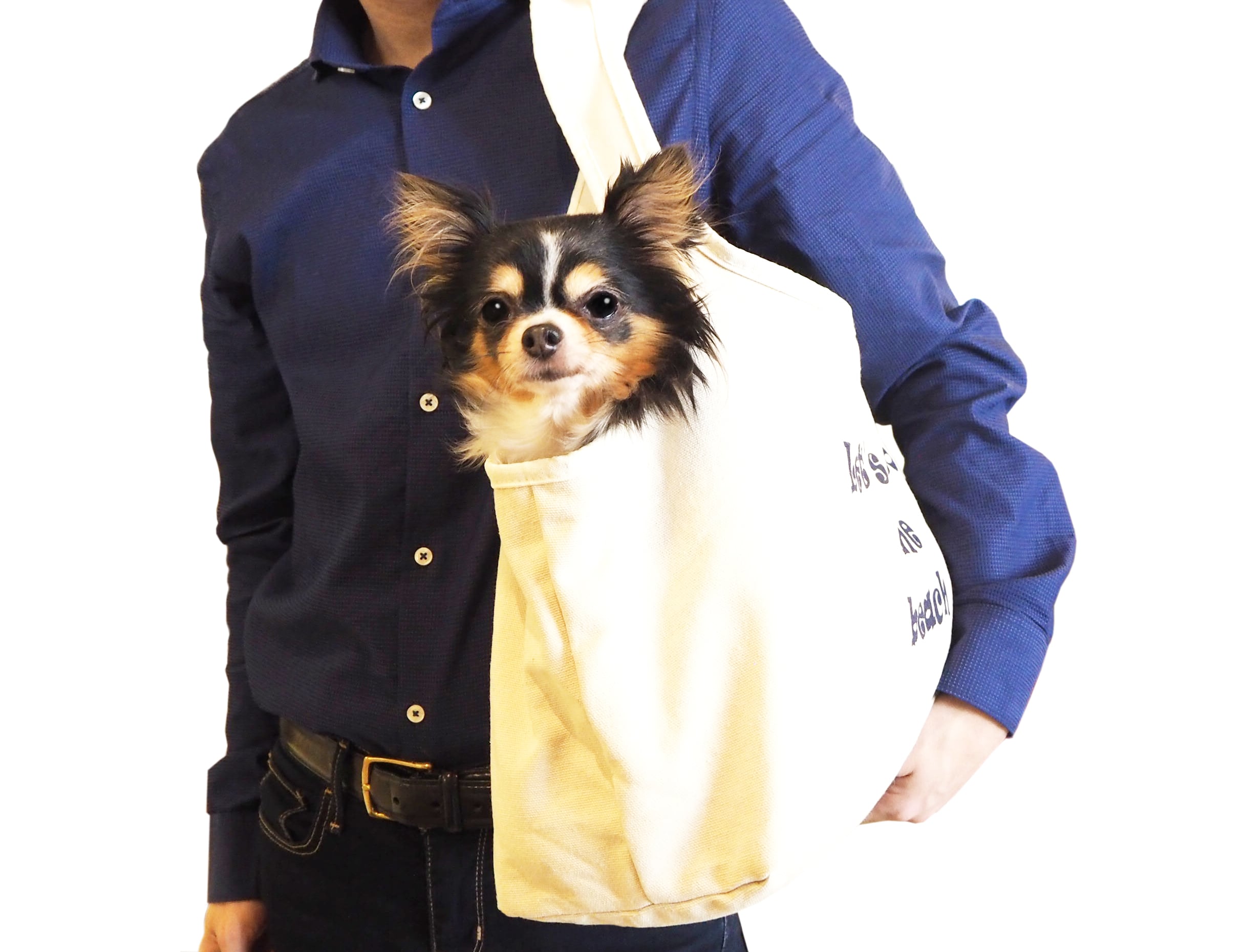 【キャリーバッグ】キャンバストートキャリーバッグ　ナチュラル/カーキ