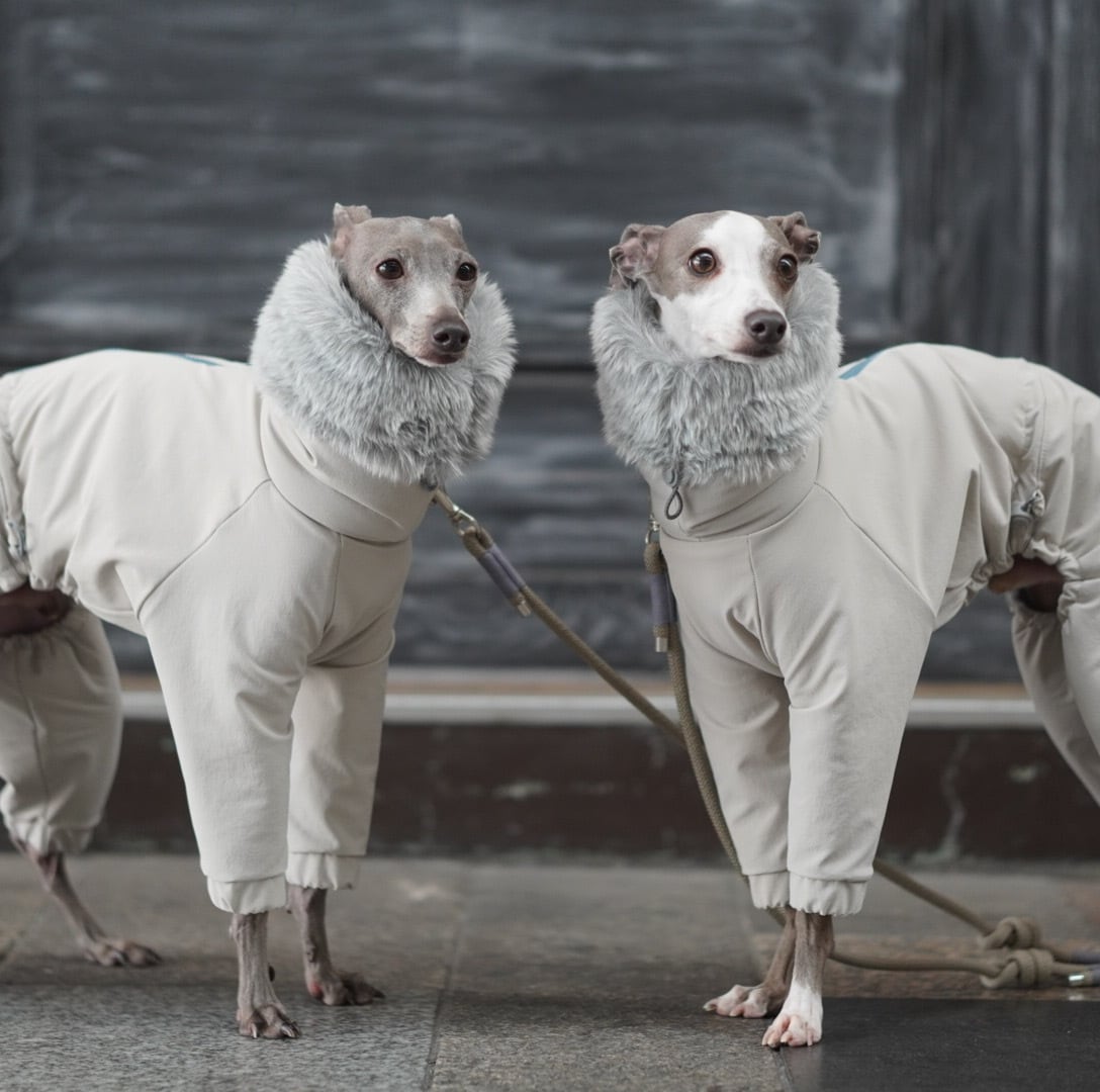 snow suit Greige（ファスナー有り） | bacio