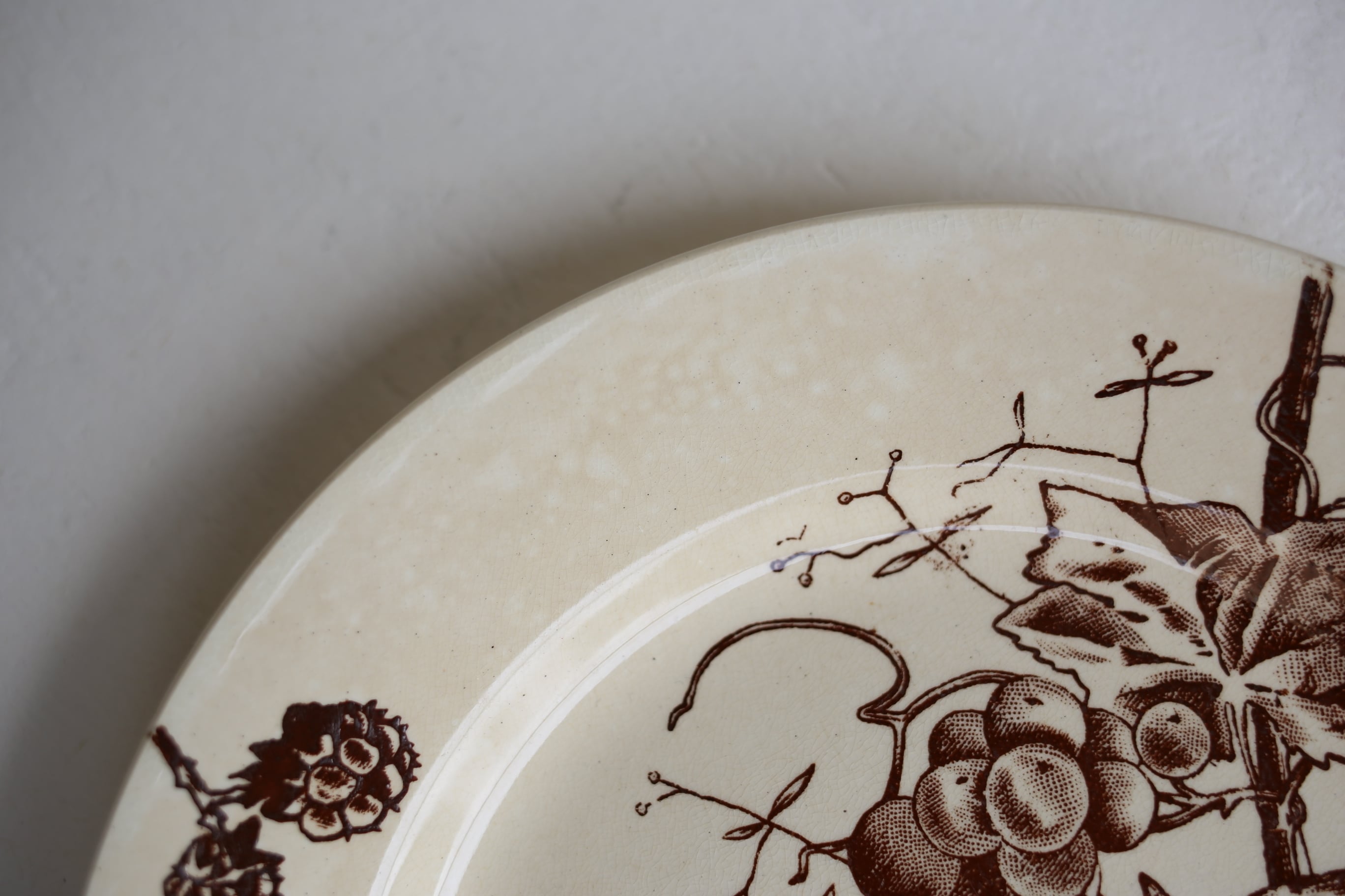 フランス アンティーク Choisy le Roi ショワジールロワ『鳥と木の実と