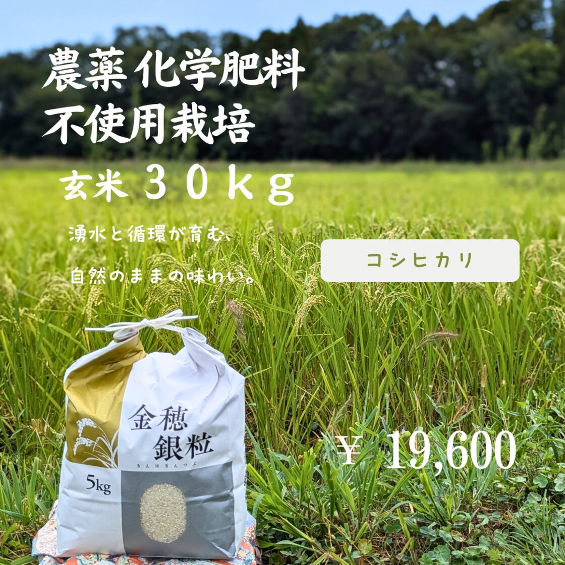 農薬・化学肥料不使用米】玄米30kg（コシヒカリ） | Pay ID