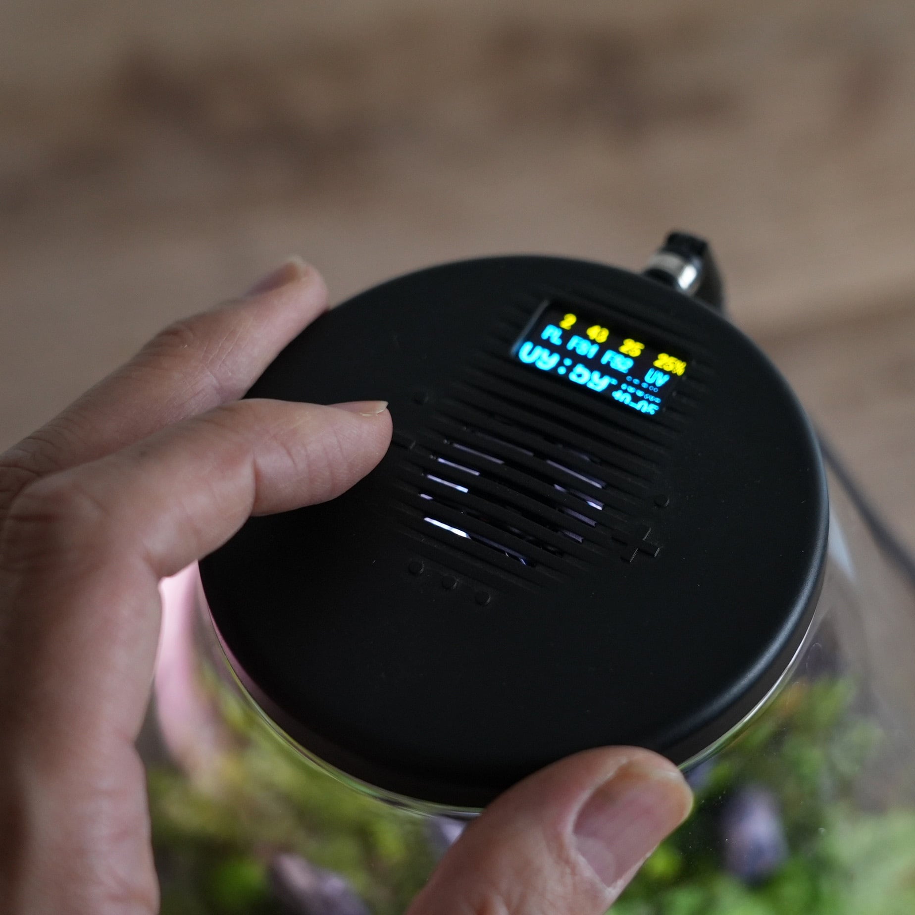 良美品】旧裏キラ5枚 わるいオーダイル ラプラス やさしいトゲチック