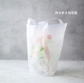 プミラ 斑入り フェイクグリーン 観葉植物 造花 卓上グリーン ミニ観葉植物 インテリアグリーン H約15cm