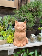 無垢の猫ちゃん