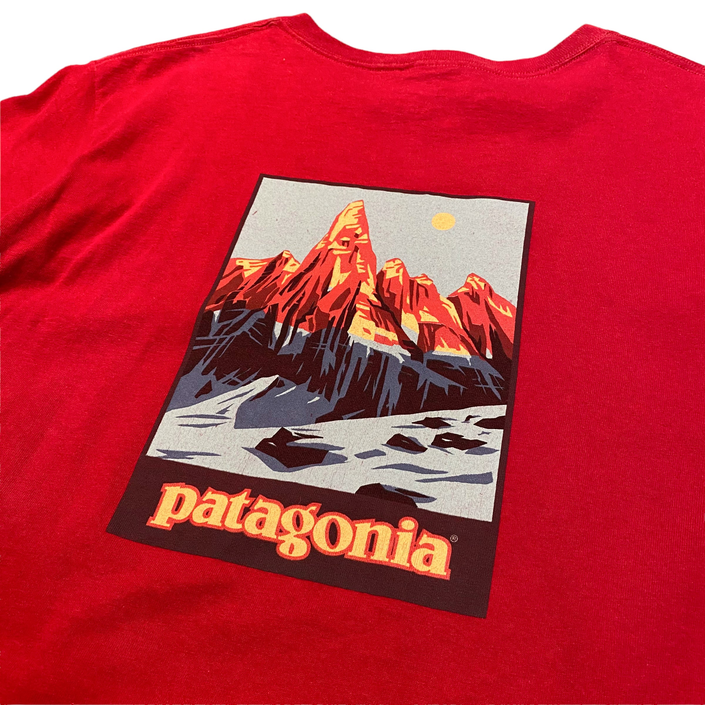 patagonia vintage organic cotton tee☆新品