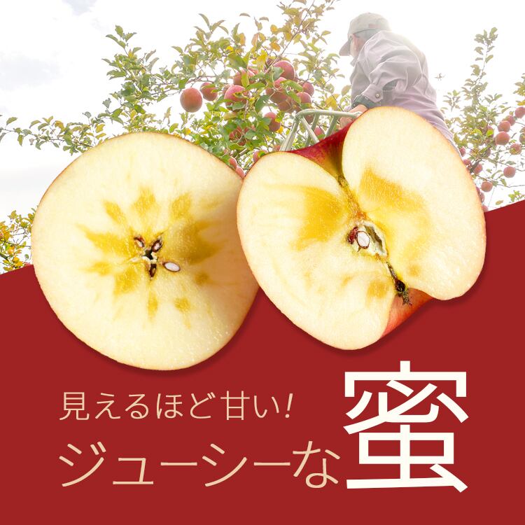 【家庭用・訳あり】りんご サンふじ 3kg