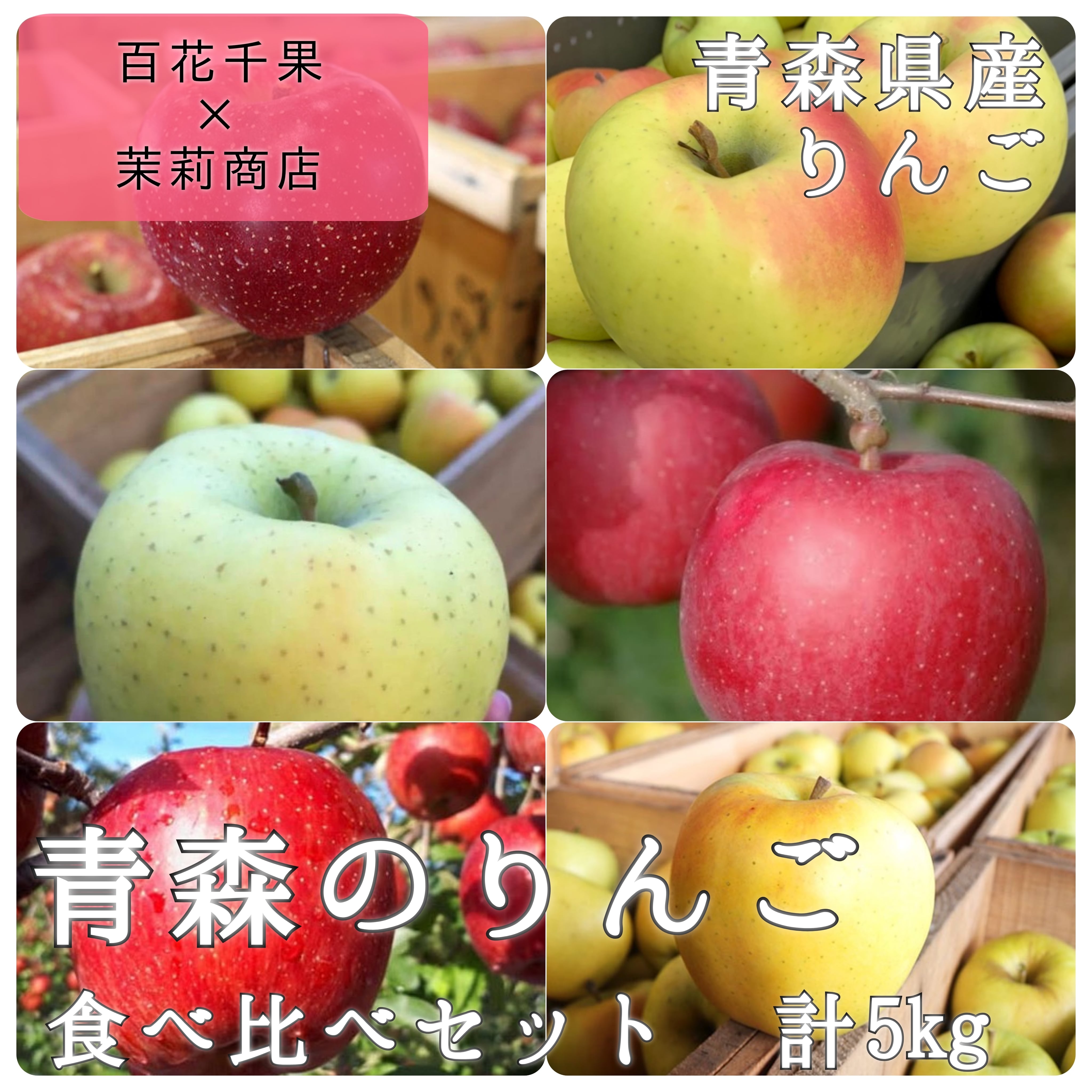 ★期間限定★青森県産 ふじ りんご 大玉入 家庭用 6~8玉