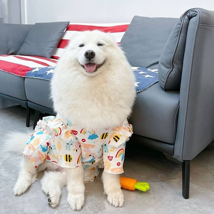 受注生産 3XL~6XL 肩のフリルが可愛い明るい柄の夏服