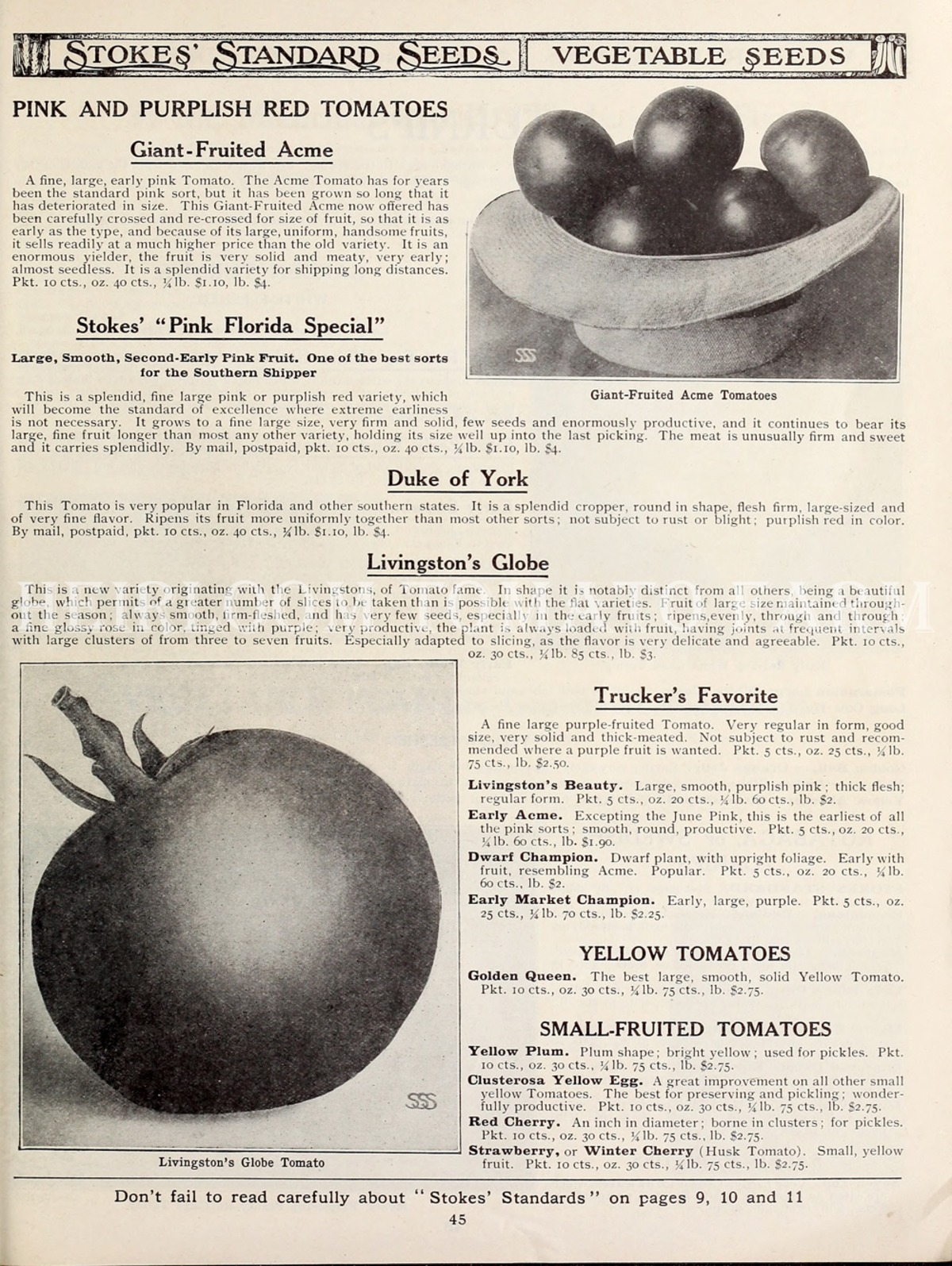 Heirloom Tomato® Giant Fruited Acme エアルーム・トマト・ジャイアント・フルーテッド・アクメ