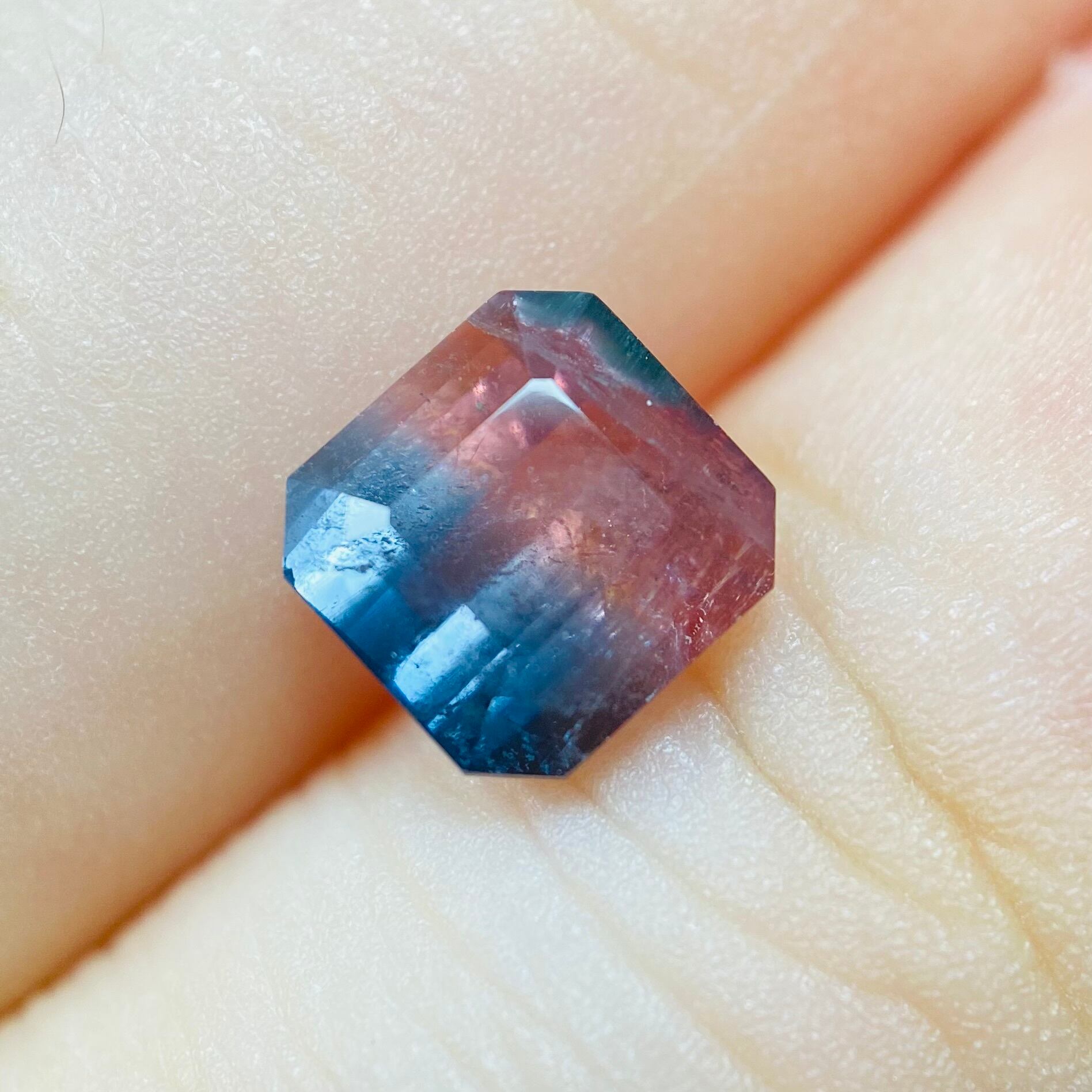 2色の紫陽花　バイカラートルマリン2