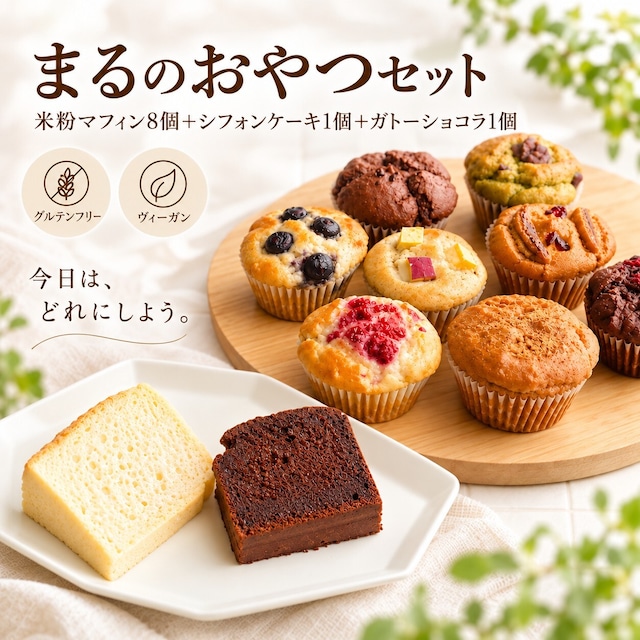 お得な送料込み グルテンフリーヴィーガンな米粉のお菓子10種類セット(NEW07-10)（北海道、沖縄は一部ご負担いただきます）
